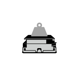 Payload